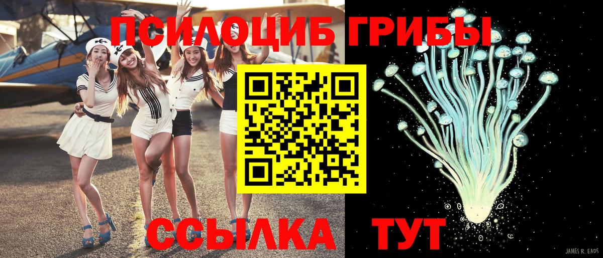 Галлюциногенные грибы Magic Shrooms  Псилоцибиновые грибы Psilocybe  Вход с VPN  Краснокаменск 